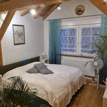Gemuetliche Dachgeschosswohnung Эрфурт Экстерьер фото