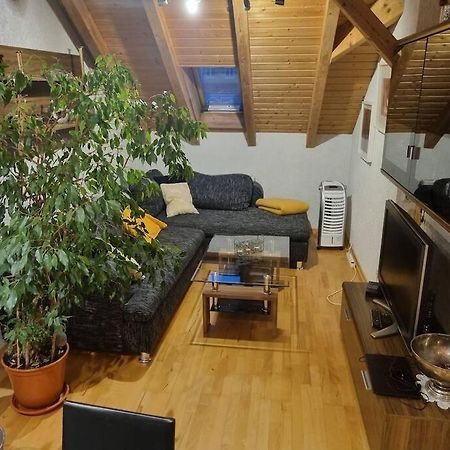 Gemuetliche Dachgeschosswohnung Эрфурт Экстерьер фото