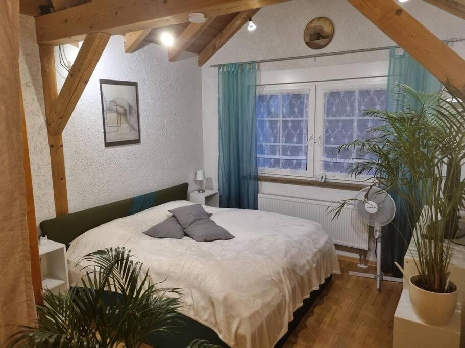 Gemuetliche Dachgeschosswohnung Эрфурт Экстерьер фото